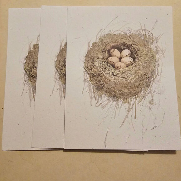 Lot of 3 1993 Marjolein Bastin Hallmark Bird Nest Blank Inside +Envelopes (gg67) - Picture 1 of 3